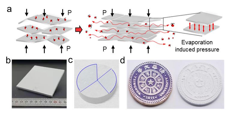 20240315-图2 近室温制备范德华块体材料的机制及应用-深圳国际研究生院-深圳国际研究生院.jpg undefined
